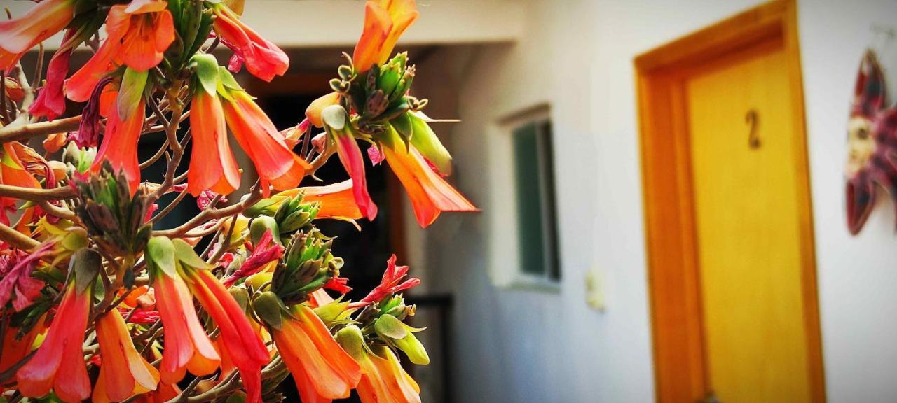 Hotel Posada Laura San Juan del Río Zewnętrze zdjęcie